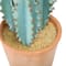 Hello Honey® 20" Faux Cactus in Terra Cotta Colored Pot
